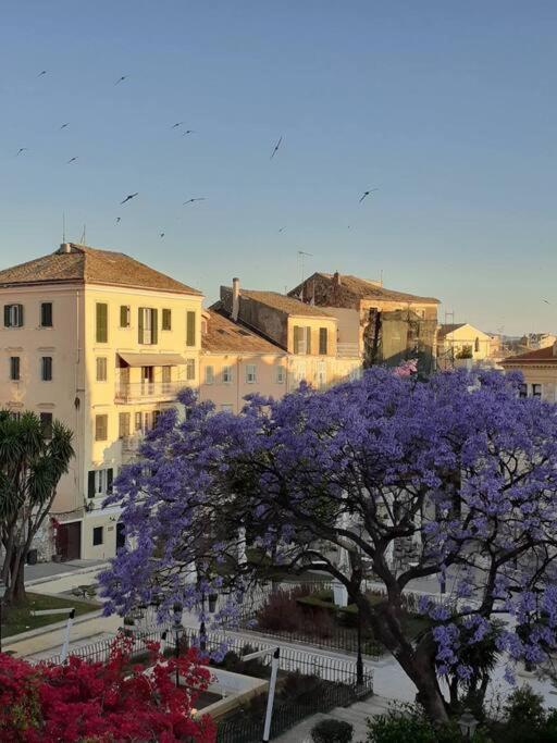 Old Town Corfu Romantic Studio Manto Nymfes Apartment Exterior foto