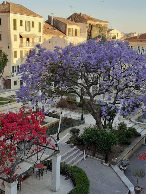 Old Town Corfu Romantic Studio Manto Nymfes Apartment Exterior foto